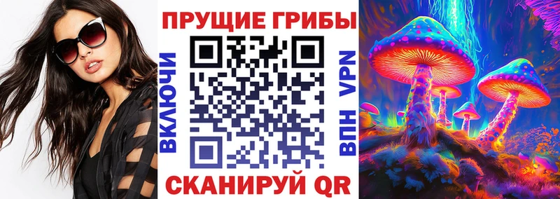 Галлюциногенные грибы прущие грибы  Купить закладки  Чернушка 