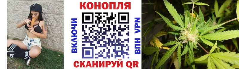 Купить  Чернушка  Конопля AK-47 